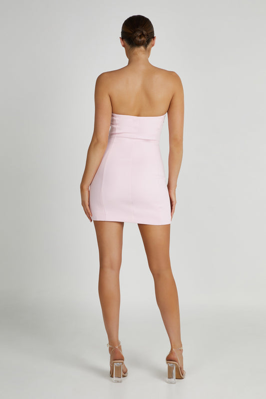 Brooks Rose Mini Dress - Blush Pink