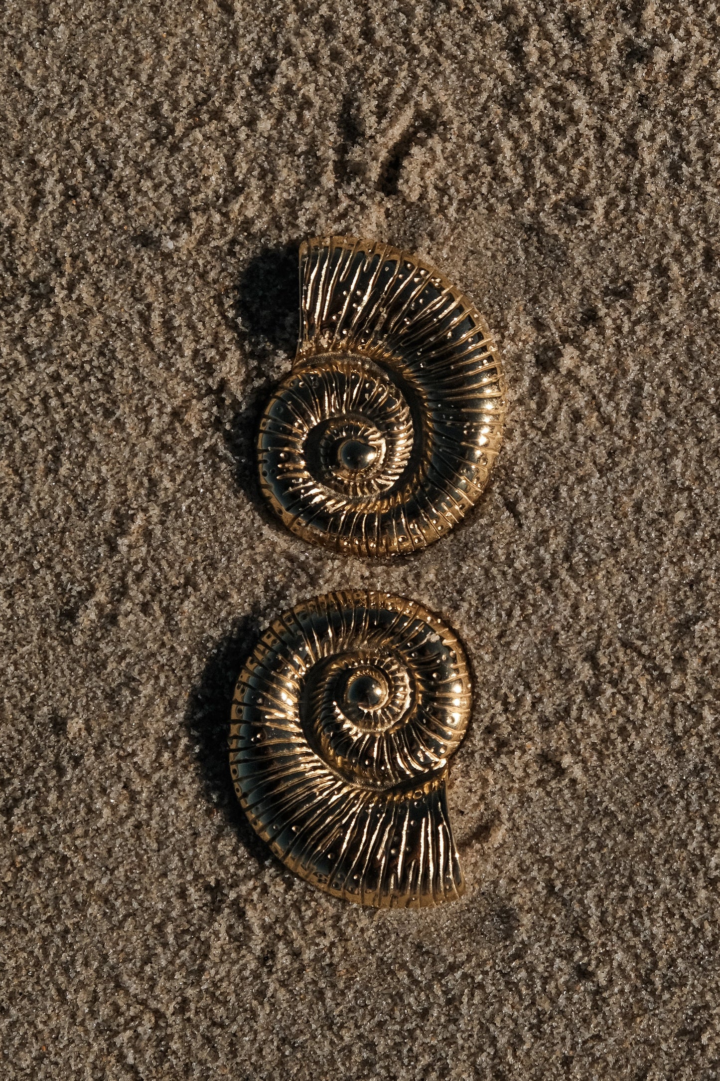 Siren Shell Earrings - Gold